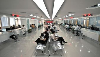 打造誠信社會(huì) 服務(wù)經(jīng)濟(jì)發(fā)展