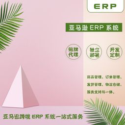 亞馬遜erp出售及一站式服務從零到基礎(chǔ)一對一指導